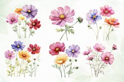 Cosmos Flowers Sublimation Clipart Product Image 4
