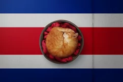 Backgrounds for Photography & Marketing. Costa Rica Product Image 8