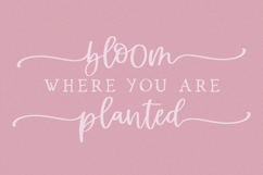 Cottage Charm Modern Calligraphy Font Product Image 4