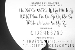 Cottage Cheese Product Image 3