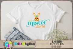 Little mister cotton tail / Little miss cotton tail / bunny Product Image 2