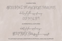 Country Cottage Script Font Product Image 10