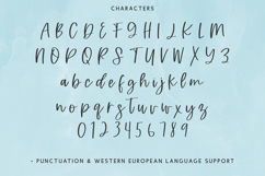 Country Creek Script Font Product Image 10