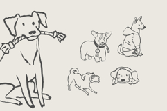 Dog Essentials Clipart Set Funny Hand Drawn Pet Care Bundle Product Image 2
