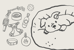 Dog Essentials Clipart Set Funny Hand Drawn Pet Care Bundle Product Image 3