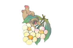 Cute Flower Friends Clipart Set Product Image 4