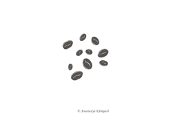 Purrfect Barista Hand Drawn Clipart Product Image 9