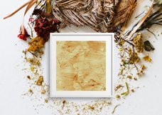 Torn Paper Textures Product Image 2