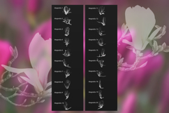 20 Watercolor Magnolia Stamps for Procreate Product Image 2