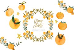 Citrus Orange Fruits Clipart, Greenery Orange Illustration Product Image 1