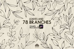 Branches and Leaves Procreate Stamp Brushes Product Image 1
