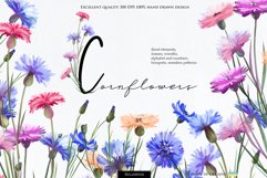 Cornflowers clipart Product Image 1