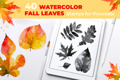 40 watercolor leaves stamps for Procreate Product Image 1