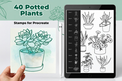 40 Potted plant stamps for Procreate, Houseplant brush set Product Image 1