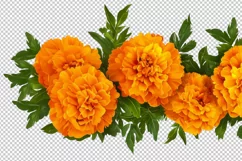 PNG Marigold flowers garland isolated Diwali Indian Holidays Product Image 2