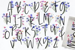 Cornflowers clipart Product Image 12