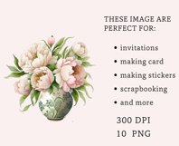 10 PNG Watercolor Peonies Clipart, Floral clipart Bundle Product Image 3