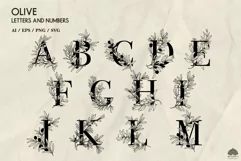 Olive Letters & Numbers SVG PNG EPS Product Image 2