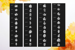 40 watercolor leaves stamps for Procreate Product Image 2