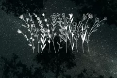 Wildflower border SVG PNG EPS Product Image 2