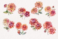 Dahlia Flower Watercolor Clip Art Bundle. PNG Sublimation Product Image 2