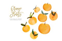 Citrus Orange Fruits Clipart, Greenery Orange Illustration Product Image 2