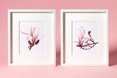 20 Watercolor Magnolia Stamps for Procreate Product Image 6