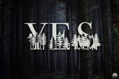 Forest Alphabet, Vector Numbers and Letters SVG PNG EPS Product Image 3