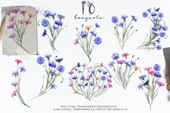 Cornflowers clipart Product Image 8