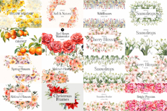 Big Watercolor Flowers Bundle 300 Floral Bouquets, Borders Product Image 3