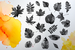 40 watercolor leaves stamps for Procreate Product Image 3