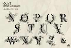 Olive Letters & Numbers SVG PNG EPS Product Image 4