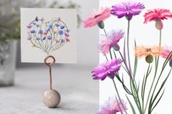 Cornflowers clipart Product Image 10