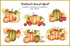 Autumn clipart Pumpkin harvest clipart Sublimation PNG Product Image 1