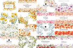 Big Watercolor Flowers Bundle 300 Floral Bouquets, Borders Product Image 5