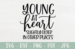 Sarcastic SVG Young At Heart Slightly Older In Other Places Product Image 2