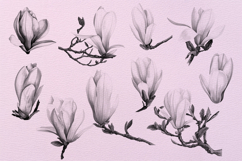 20 Watercolor Magnolia Stamps for Procreate Product Image 4