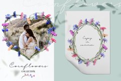 Cornflowers clipart Product Image 5
