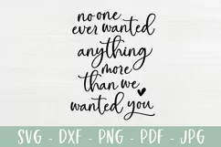 Nursery Decor SVG | Baby SVG | More Than We Wanted You Product Image 2