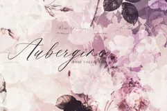 Watercolor Roses Collection Jpg-Png Overlays Product Image 1