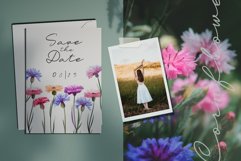 Cornflowers clipart Product Image 7