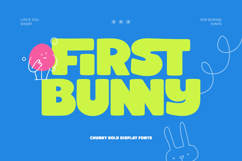 First Bunny - Chunky Bold Display Product Image 1