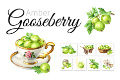 Gooseberry. Watercolor collection Product Image 1