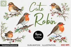 Watercolor Robin cliparts. 5 PNG sublimation Product Image 1