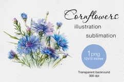 Summer flower t-shirt sublimation print design png Product Image 1