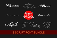 8 SCRIPT FONT BUNDLE Product Image 1