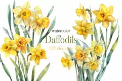 Watercolor daffodils png clipart - Daffodil flowers clipart Product Image 1