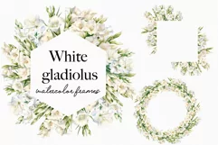 Watercolor Floral Clipart - Watercolor White Gladiolus Product Image 1