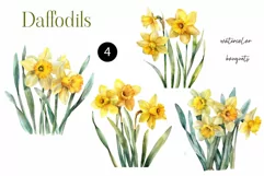 Watercolor daffodils png clipart - Daffodil flowers clipart Product Image 2