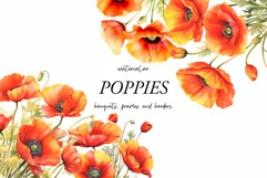 Watercolor Poppy Floral Clipart - Red poppies clipart png Product Image 1